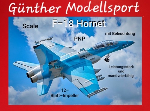 FMS F-18 Hornet EDF 64 PNP grau - 74cm DP-DPFMS151P
