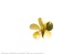 Schiffsschraube Messing .5-Blatt, Form A 35/M3, rechts